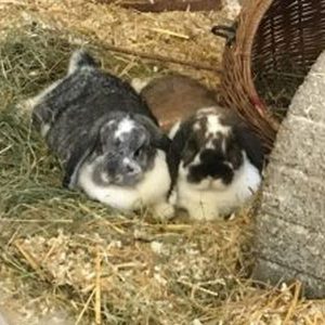 Puschel und Stacy