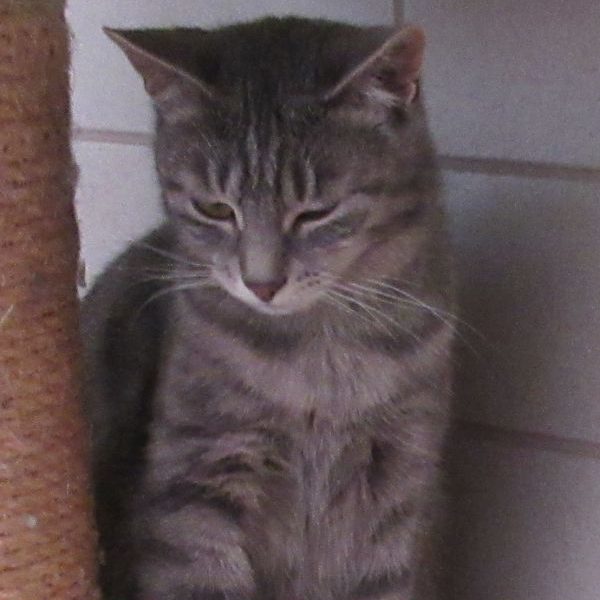 Elke