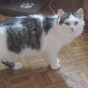 Sammy