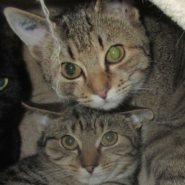 Pia und Pauline