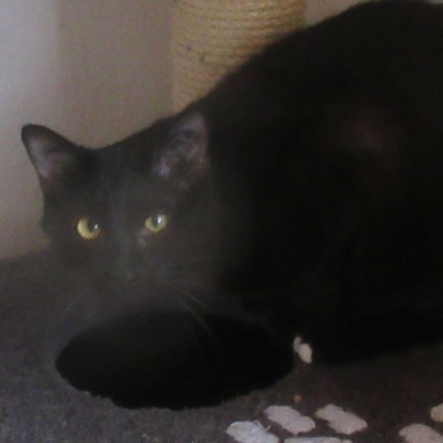 Micky