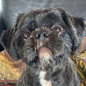 Paco