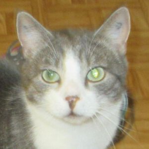 Leo